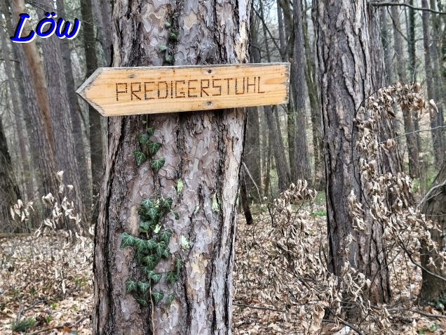 16.3.2026 - Predigerstuhl Richtung Seewiese